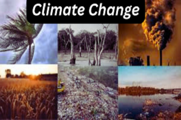 climate change