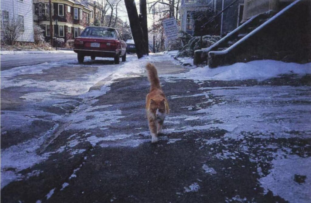 30 things to do in winter